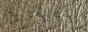 Tivo Gunmetal 945 by Norbar Designer Fabric SENSATION 100% POLYESTER INDIA 9 1/2"V 8 1/2"H 53 - Swanky Fabrics -
