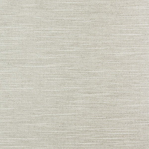 Township # 005 Dune by Maxwell Fabric