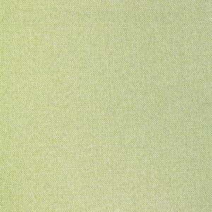 Tucker # 116 Oasis by Maxwell Fabric