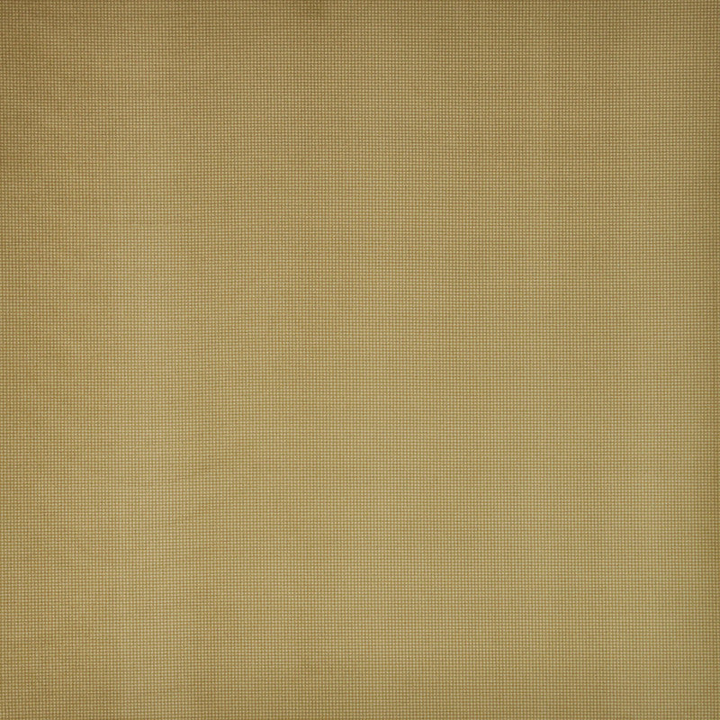 Tally Ho # 237 Pulp by Maxwell Fabric LAP OF LUXURY 100% POLYESTER CHINA </p><p>Repeat: Horizontal: and Vertical: 55" - Fabric Carolina -