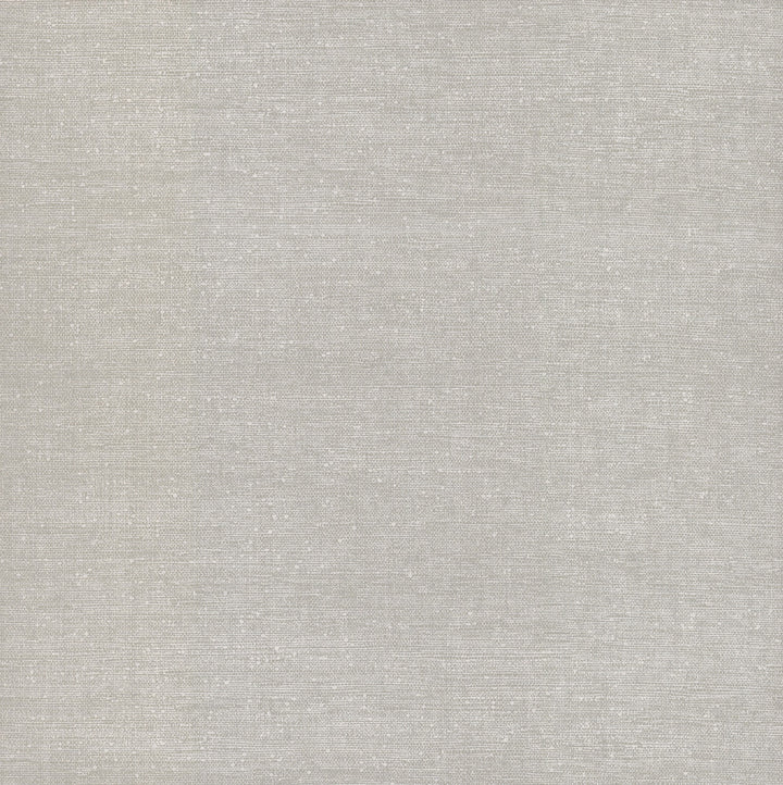 Silken Grasses Silver Metallic Wallpaper by York Wallcoverings Handpainted Traditionals Covers about 60.8 square feet 27-in by 27-ft long roll Unpasted 0 - Fabric Carolina -