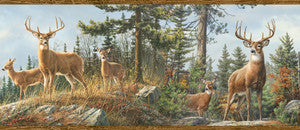 Ashmere Brown Whitetail Crest Wallpaper by Chesapeake