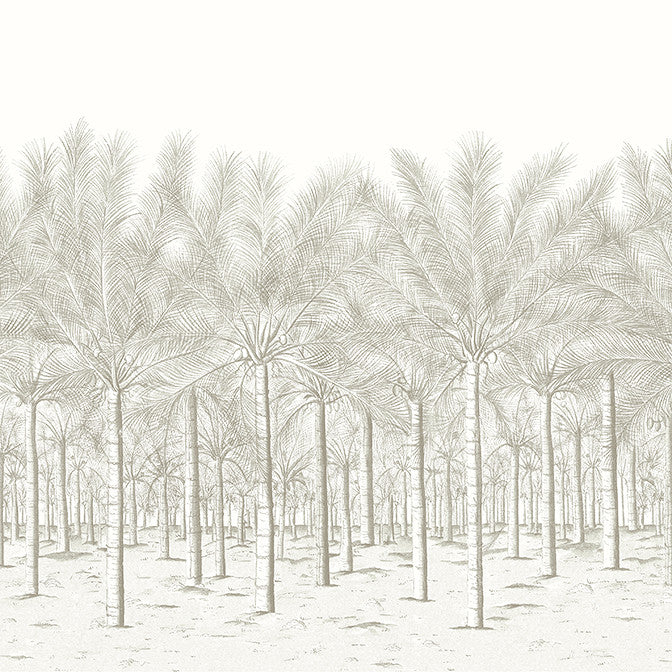 Palm Grove Mural - 5 Panel Full Set Beige TM13948 by Thibaut Wallpaper Thibaut Wallpaper Palm Grove Mural - 5 Panel Full Set Beige TM13948Wallpaper Palm Grove Non Woven Wallpaper 5 Panel Full Set U.S.A. </p><p>Repeat: V: 0 135 - Fabric Carolina -