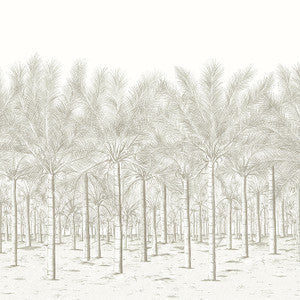 Palm Grove Mural - 5 Panel Full Set Beige TM13948 By Thibaut Wallpaper