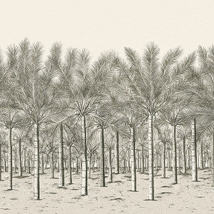 Palm Grove Mural - 5 Panel Full Set Black Tea TM13950 by Thibaut Wallpaper
