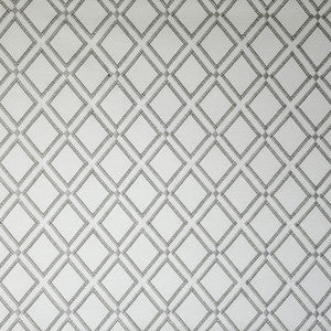 Trillion # 105 Silver by Maxwell Fabric