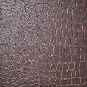 Tortoise # 3001 Allspice by Maxwell Fabric