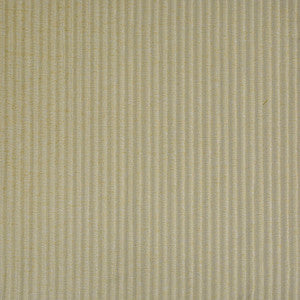 Top Shelf # 542 Blonde by Maxwell Fabric