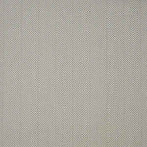 Tompkins-Ess # 106 Pearly by Maxwell Fabric