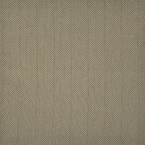 Tompkins-Ess # 110 Boulder by Maxwell Fabric