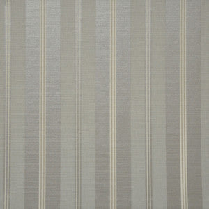 Terra Firma # 421 Coin by Maxwell Fabric