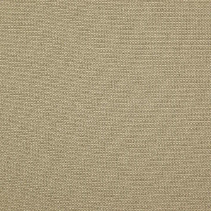 Tesseract # 06 Seagrass by Maxwell Fabric Weave Works Iv 100% POLYESTER CHINA 59" - Fabric Carolina -
