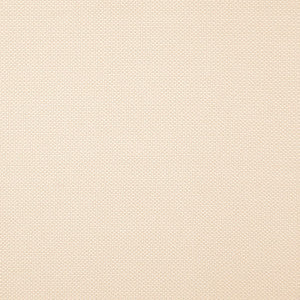 Tesseract # 09 Marzipan by Maxwell Fabric