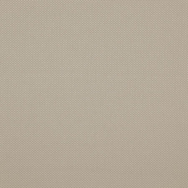 Tesseract # 11 Oatmeal** by Maxwell Fabric Weave Works Iv 100% POLYESTER CHINA 59" - Fabric Carolina -