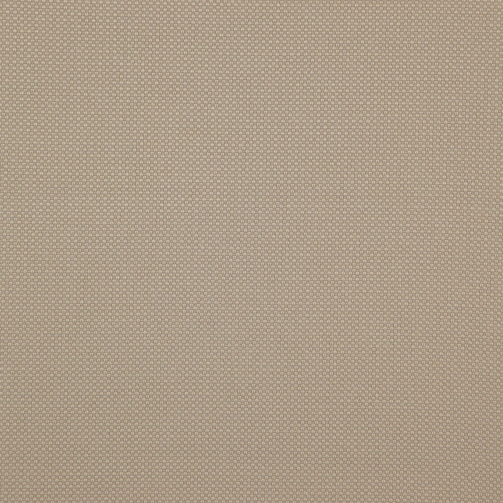 Tesseract # 12 Biscuit by Maxwell Fabric WEAVE WORKS IV 100% POLYESTER CHINA </p><p>Repeat: Horizontal: and Vertical: 59" - Fabric Carolina -