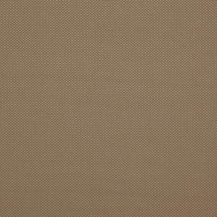 Tesseract # 16 Doe by Maxwell Fabric Weave Works Iv 100% POLYESTER CHINA 59" - Fabric Carolina -