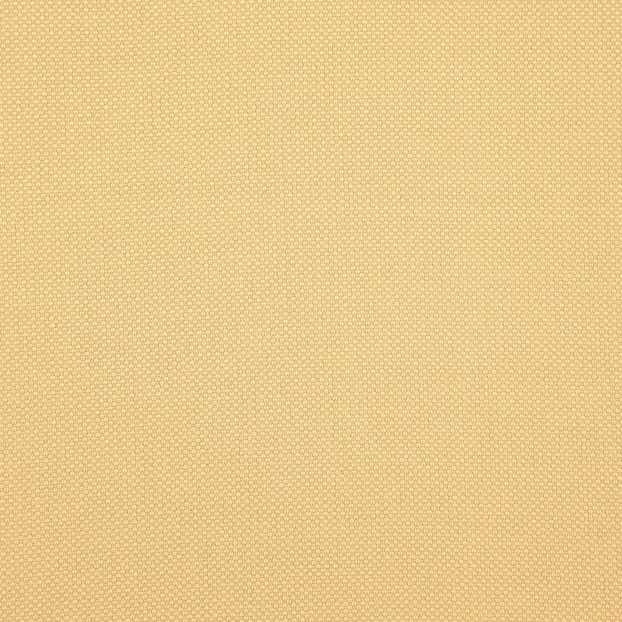 Tesseract # 47 Hay by Maxwell Fabric Weave Works Iv 100% POLYESTER CHINA 59" - Fabric Carolina -