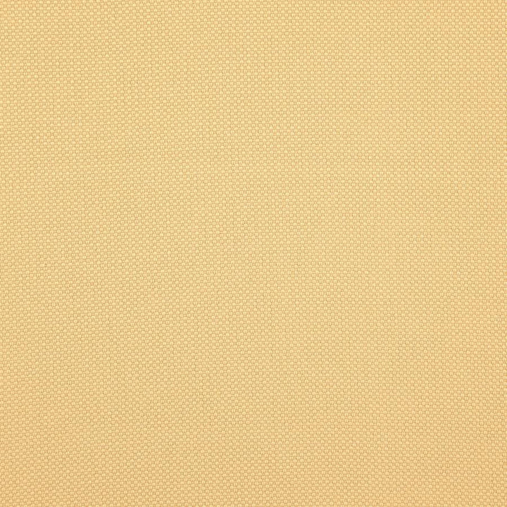 Tesseract # 47 Hay by Maxwell Fabric Weave Works Iv 100% POLYESTER CHINA 59" - Fabric Carolina -
