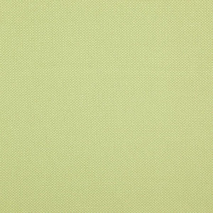Tesseract # 49 Oasis by Maxwell Fabric