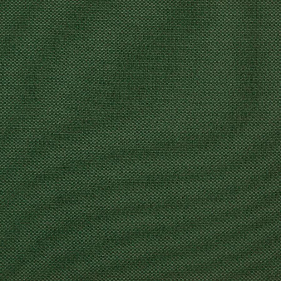 Tesseract # 51 Fern by Maxwell Fabric Weave Works Iv 100% POLYESTER CHINA 59" - Fabric Carolina -