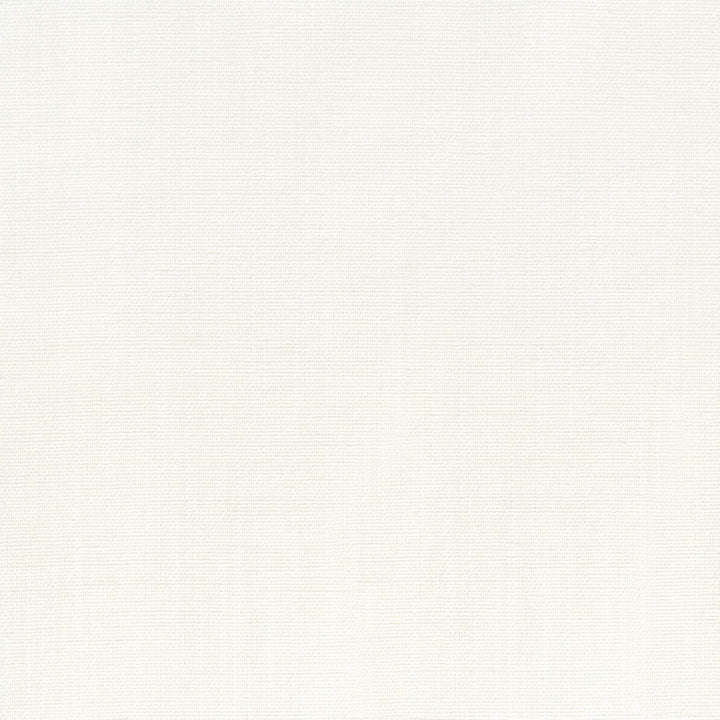 Tobago 2 Salt by Stout Fabric Stout Fabric Tobago 2 SaltFabric COLOR MY WINDOW PEARL/DRIFTWOOD INDIA </p><p>Repeat: H: 0.000, V: 0.000 55 in - Fabric Carolina -