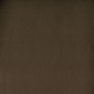 Toledo Antelope 7559 by Norbar Fabric SUEDE 80 POLYESTER 15 COT 5 POLYURET 55 - Fabric Carolina -