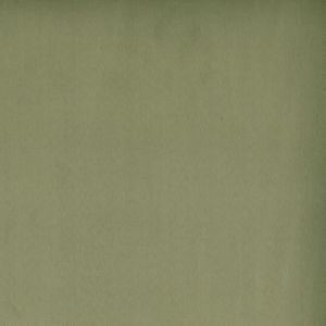 Toledo Avocado 7553 by Norbar Fabric See Sample 80 POLYESTER 15 COT 5 POLYURET 100,000 WYZENBEEK 55 - Fabric Carolina -