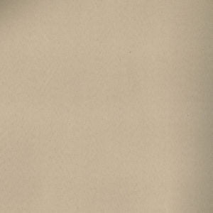 Toledo Beige 7512 by Norbar Designer Fabric SUEDE 80 POLYESTER 15 COT 5 POLYURET 55 - Swanky Fabrics -