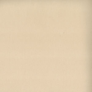 Toledo Bisque 7519 by Norbar Fabric SUEDE 80 POLYESTER 15 COT 5 POLYURET 100,000 WYZENBEEK 55 - Fabric Carolina -