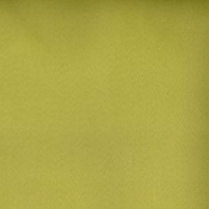 Toledo Lime 7550 by Norbar Fabric SUEDE 80 POLYESTER 15 COT 5 POLYURET 55 - Fabric Carolina -