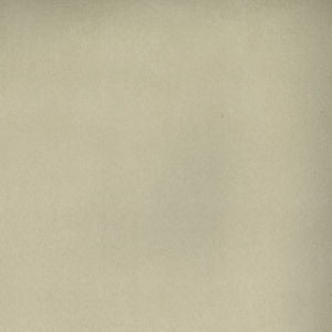 Toledo Milkweed 7513 by Norbar Fabric