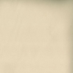 Toledo Sand 7516 by Norbar Fabric 80 POLYESTER 15 COT 5 POLYURET 100,000 WYZENBEEK </p><p>Repeat: 55 - Fabric Carolina -