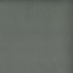 Toledo Seal 7564 by Norbar Fabric SUEDE 80 POLYESTER 15 COT 5 POLYURET 55 - Fabric Carolina -