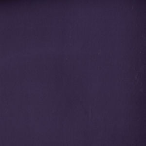 Toledo Viola 7547 by Norbar Fabric See Sample 80 POLYESTER 15 COT 5 POLYURET 100,000 WYZENBEEK 55 - Fabric Carolina -