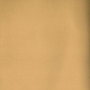 Toledo Wheat 7533 by Norbar Fabric See Sample 80 POLYESTER 15 COT 5 POLYURET 100,000 WYZENBEEK 55 - Fabric Carolina -