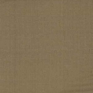 Toltec Earth 160 by Norbar Fabric See Sample 100% SILK INDIA 9,000 WYZENBEEK 54" - Fabric Carolina -