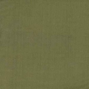 Toltec Kiwi 188 by Norbar Fabric