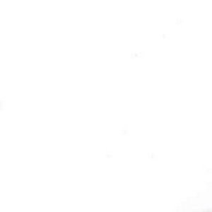 Toltec Snow 101 by Norbar Fabric 100% SILK INDIA 9,000 WYZENBEEK </p><p>Repeat: 54" - Fabric Carolina -