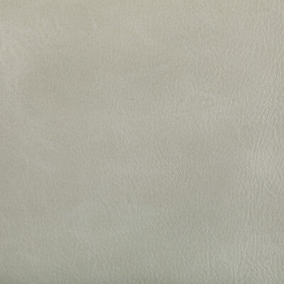 Kravet Contract Upholstery TONI.101.0 Upholstery POLYURETHANE - 100% China </p><p>Repeat: H: , V: 27.5 21 - My Fabric Connection -