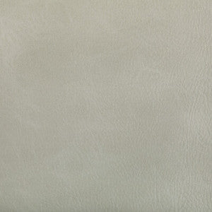 Toni Limestone TONI.101.0 by Kravet Contract Fabric