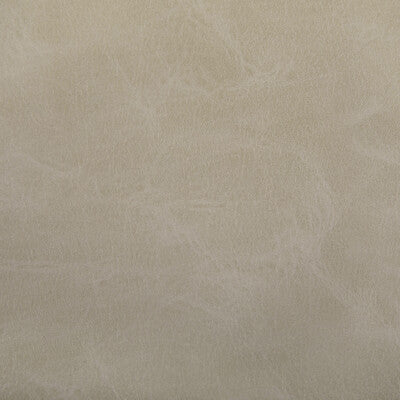 Kravet Contract Upholstery TONI.106.0 Upholstery POLYURETHANE - 100% China </p><p>Repeat: H: , V: 27.5 21 - My Fabric Connection -