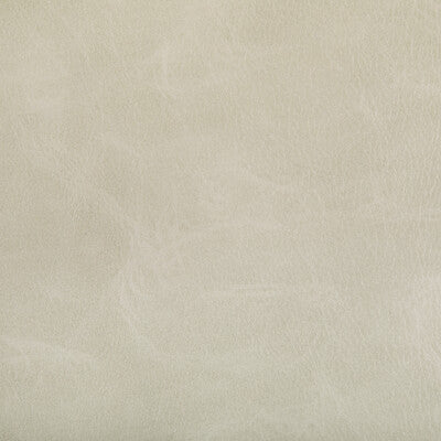 Kravet Contract Upholstery TONI.1.0 Upholstery POLYURETHANE - 100% China </p><p>Repeat: H: , V: 27.5 21 - My Fabric Connection -