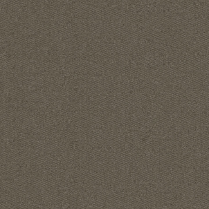 Topgun 1s 4059 Taupe by Topgun Fabric N/A 100% Polyester China 15,000 Double Rubs </p><p>Repeat: Horizontal: and Vertical: 60" (152cm) - Fabric Carolina -
