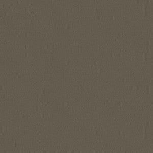 Topgun 1s 4059 Taupe by Topgun Fabric