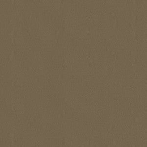 Topgun 1s 4065 Hemp Beige by Topgun Fabric