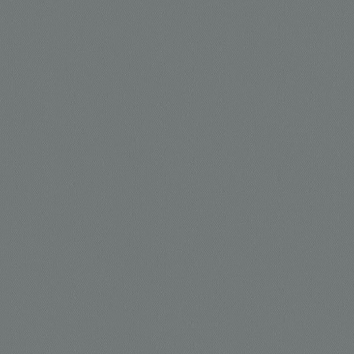 Topgun 1s 4067 Sea Gull Gray by Topgun Fabric N/A 100% Polyester China 15,000 Double Rubs </p><p>Repeat: Horizontal: and Vertical: 60" (152cm) - Fabric Carolina -