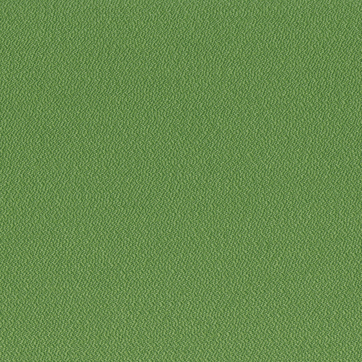 Carrington 21 Fern by SolarShade Fabric 100% Solution Dyed Polyester CN 150,000 Double Rubs (Wyzenbeek) </p><p>Repeat: Horizontal: and Vertical: 54 in. (137 cm) - Fabric Carolina -