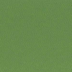 Carrington 21 Fern by SolarShade Fabric