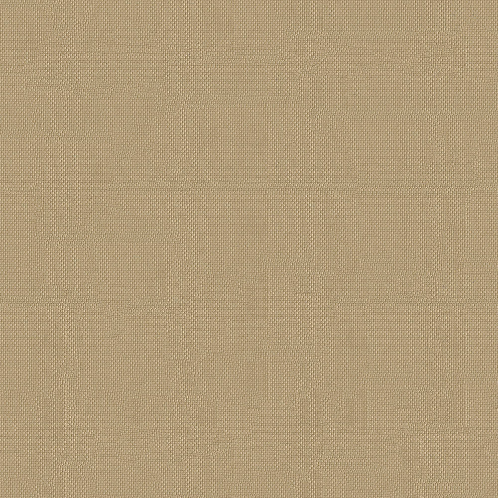 Top Notch1s 615 Cappuccino by Top Notch Fabric N/A 100% Solution Dyed Polyester China 15,000 Double Rubs </p><p>Repeat: Horizontal: and Vertical: 60" (152cm) - Fabric Carolina -