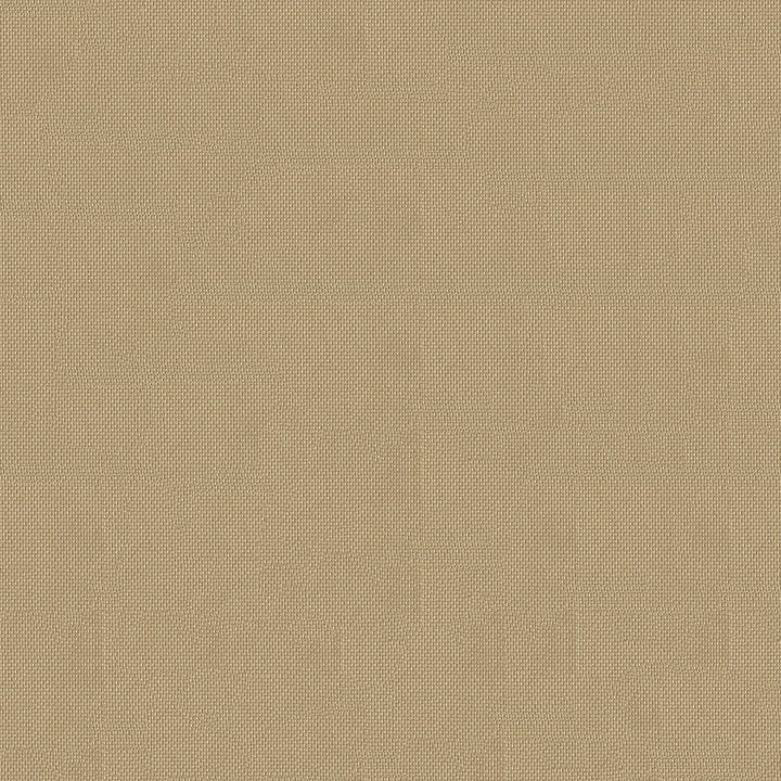 Top Notch1s 615 Cappuccino by Top Notch Fabric N/A 100% Solution Dyed Polyester China 15,000 Double Rubs </p><p>Repeat: Horizontal: and Vertical: 60" (152cm) - Fabric Carolina -